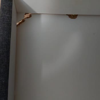 Vivense Mobilya'da Dayanıklılık Sorunu Ve İletişim Eksikliği