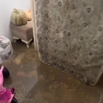 Küflenmiş Koltuklar Ve Bitmeyen Bekleyiş