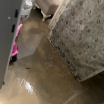 Koltuklarım Su Altında Kaldı, Çözüm Bekliyorum