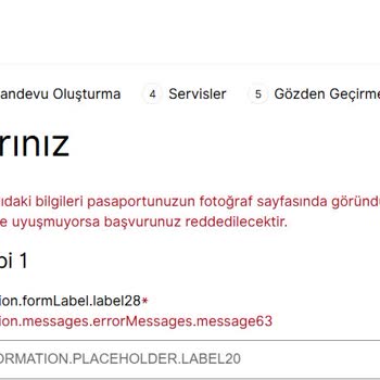 VFS Global Giriş Sorunları Ve Acil Vize İhtiyacı