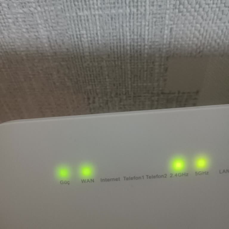 Netgsm'de Sürekli İnternet Hız Problemi Ve Yetersiz Müşteri Hizmetleri