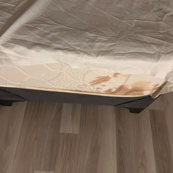 Inn 12 Apart Otel'de Her Gün İnternet Sorunu Yaşıyoruz!