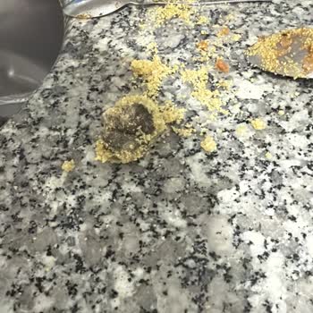 Bulgurun İçinden Çıkan Şok Edici Sürpriz