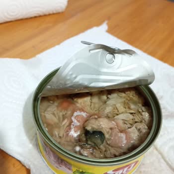 Küflü Ton Balığı Şoku: Fide Markası Güven Sarsıyor