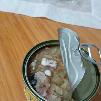 Küflü Ton Balığı Şoku: Fide Markası Güven Sarsıyor