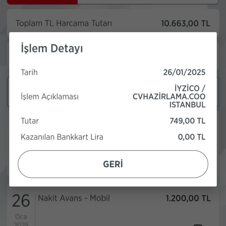 İzinsiz Para Çekimi Ve Abonelik Sorunu