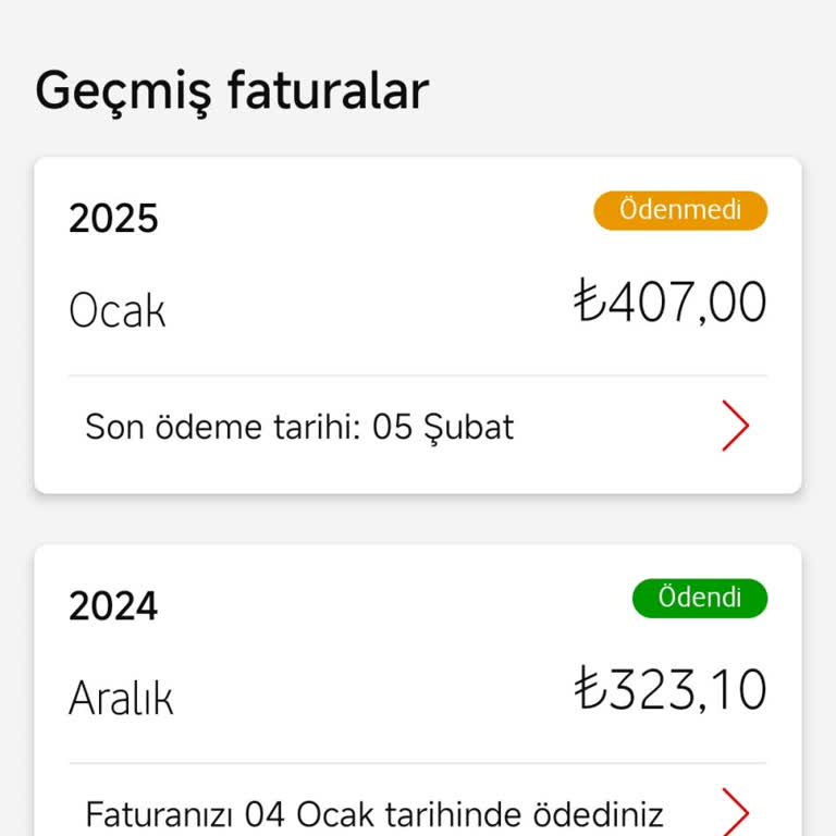 Kabarık Fatura Şoku: Ek Hizmetler Sürprizi
