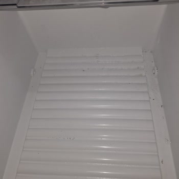 Bosch Refrigerator Causes Water Buildup and Mold in Vegetable Drawer