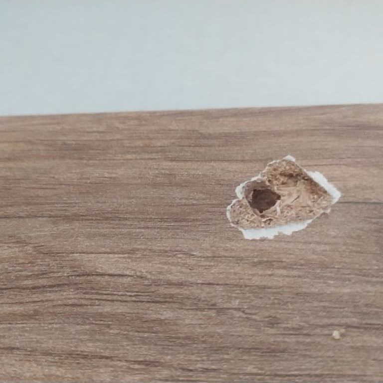 Bellona Bayisi İle Yaşanan Kurulum Sorunları Ve Müşteri Memnuniyetsizliği