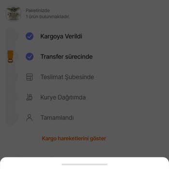 Kayıp Kargo: Acil Çözüm Bekliyorum
