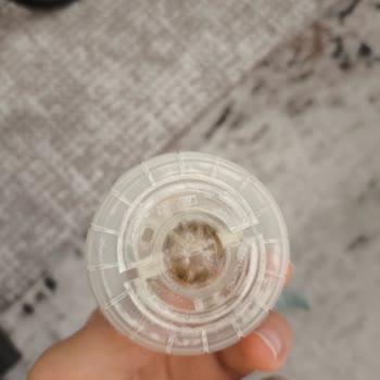 Avent Suluk İç Aksamında Renk Değişimi Sorunu