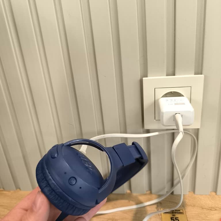 JBL 560BT Kulaklık Şarj Sorunu