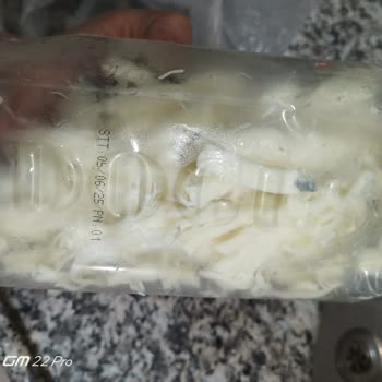 Doğuş Süt Hızla Küflenen Peynir Hayal Kırıklığı