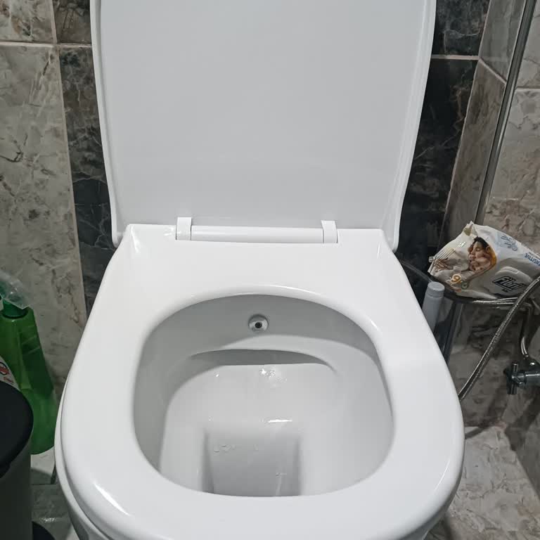 Kanalsız Klozetin Hijyen Sorunu