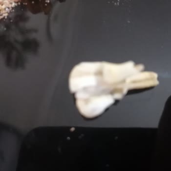 Müşteri Hizmetleri Sürecinde Yaşanan Hayal Kırıklığı Ve Çözüm Arayışı