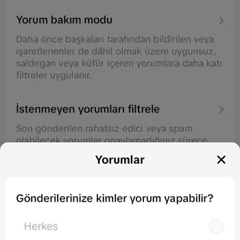 TikTok Yorum Kısıtlaması Sorunu