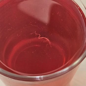 Dimes Marka İçecekte Böcek Şoku