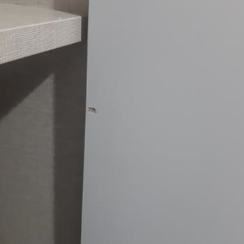 Mobilya Teslimatında Yaşanan Sorunlar Ve Eksiklikler