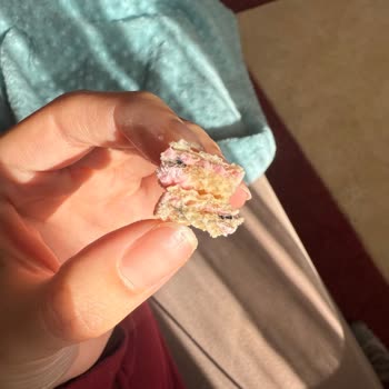 Gofret İçinden Çıkan Böcek Şoku