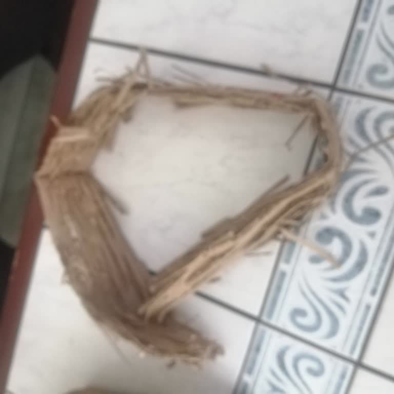 Boş Kutu Şoku: MNG Kargo Mağduriyeti