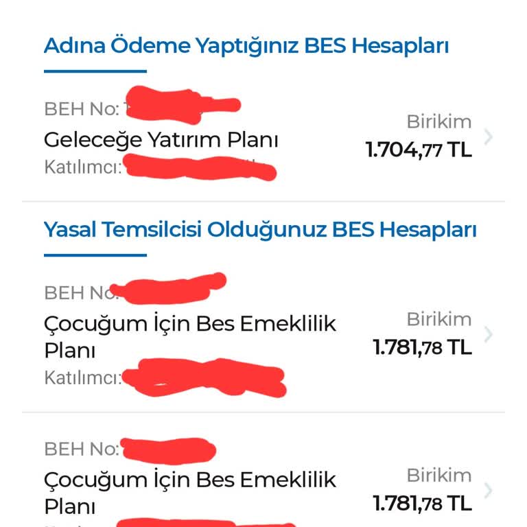 BES Sisteminde Devlet Katkısı Ve Kesinti Sorunu