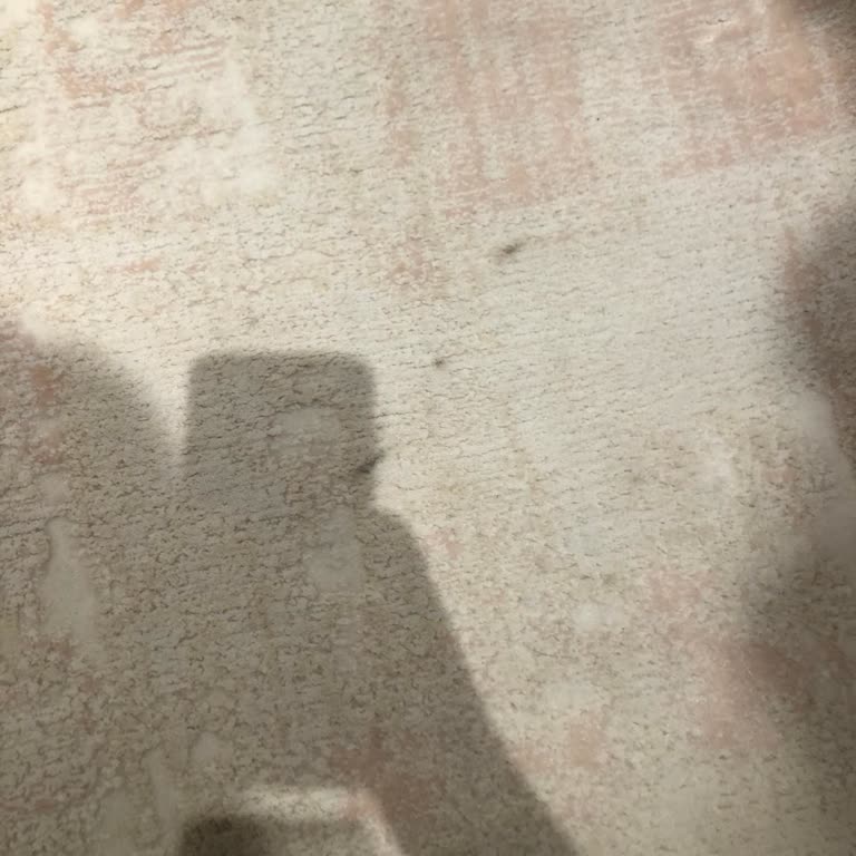 Zade Halı Yıkama'da Hayal Kırıklığı: Islak Ve Kirli Halılar, Kötü Hizmet