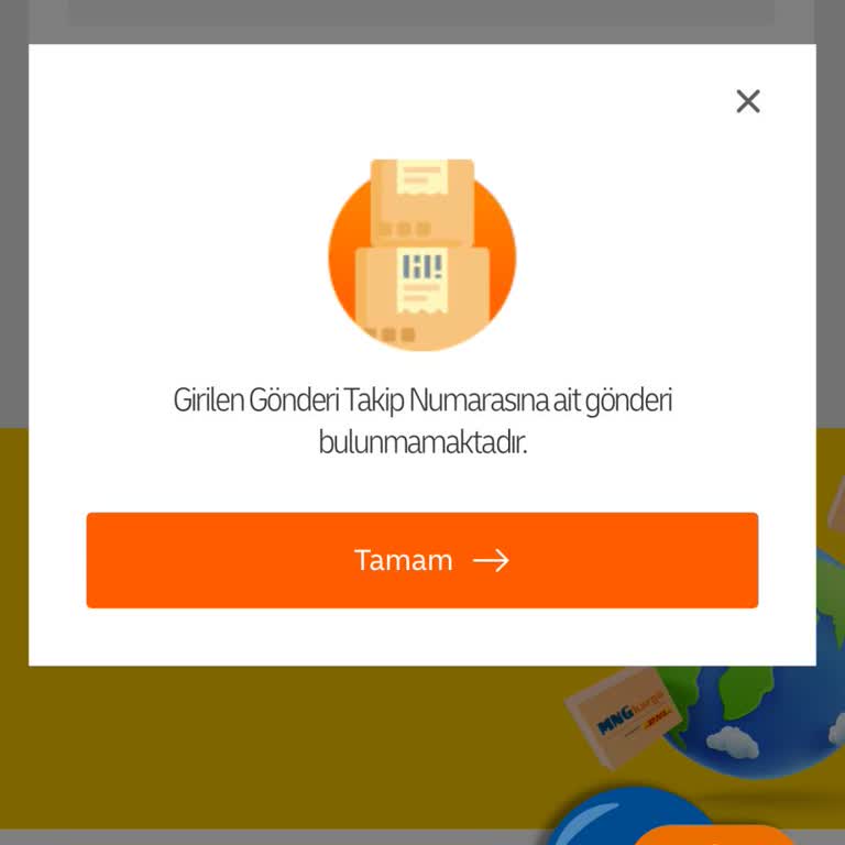 MNG Kargo Takip Sorunu Ve Çözüm Beklentisi