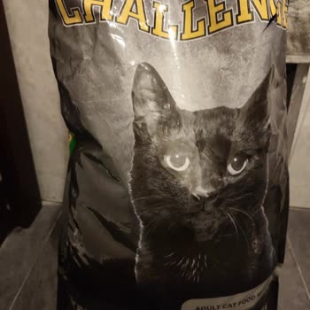 Bozuk Kedi Maması Mağduriyeti