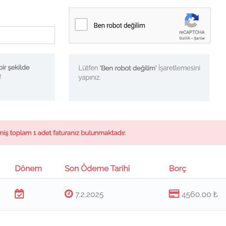 Elektrik Faturası Kesintisi Nedeniyle Mağduriyet Yaşıyoruz
