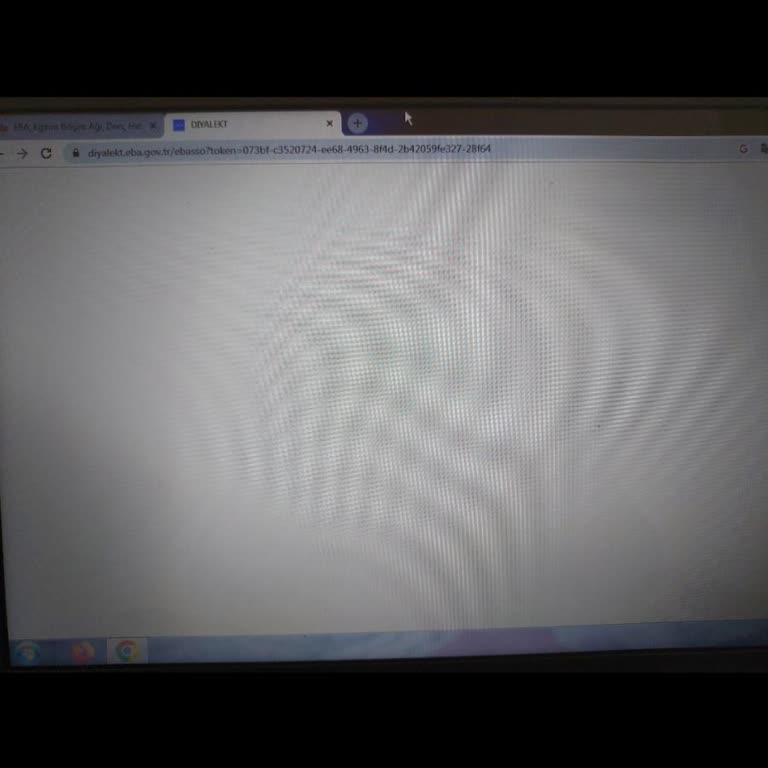 EBA Erişim Sorunu: Beyaz Ekran Ve Giriş Problemleri