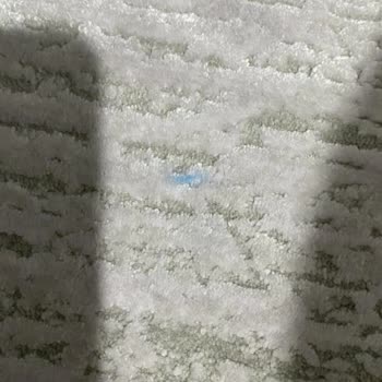 Halı Temizleme Hizmetinde Boya Kabusu