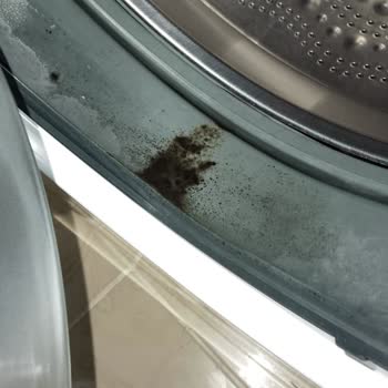 Bosch Çamaşır Makinesi Garanti Sorunu Ve Körük Lastiği Şikayeti