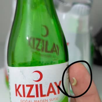 Küflü Kapak Ve Solucan İçeren Soda Şoku