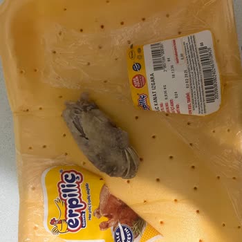 Erpiliç'ten Tüylü Tavuk Kanat Şoku