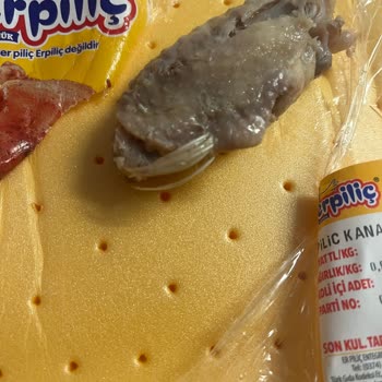 Erpiliç'ten Tüylü Tavuk Kanat Şoku