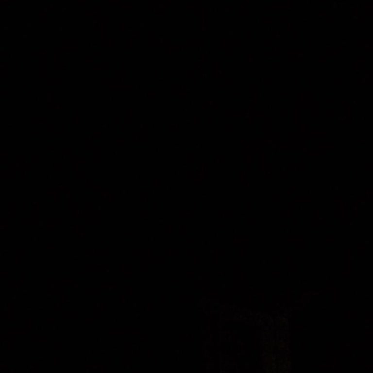 Pahalı Ve Kuru Hamburger Deneyimi