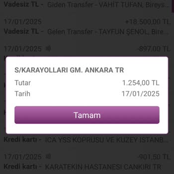 HGS Ödemesi Yapılmasına Rağmen Sistem Üzerinde Görünmüyor