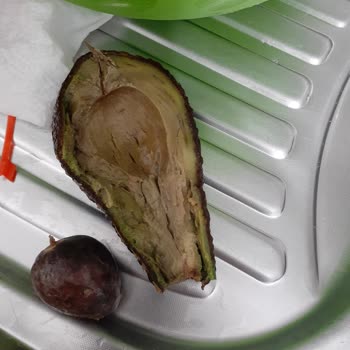 Migros'tan Gelen Çürük Ürünler Ve İade Sorunu