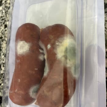 Küflü Ürün Şoku: A101 Kapıda Siparişimde Büyük Hayal Kırıklığı