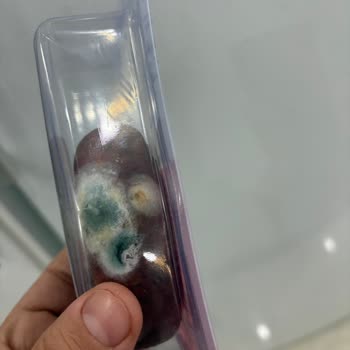 Küflü Ürün Şoku: A101 Kapıda Siparişimde Büyük Hayal Kırıklığı