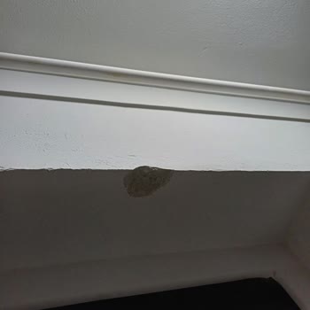 Neta Home'dan Alınan Koltuklar Sorunlu Geldi, Servis Ve Takip Sıfır