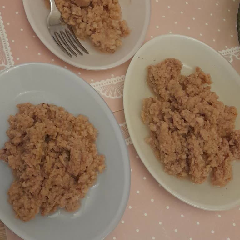 Kötü Kokulu Ve Tadı Bozuk Ton Balığı