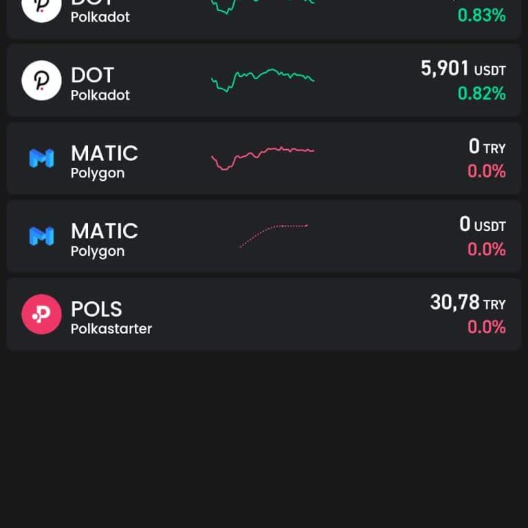 Bitay Şirketi İle İletişim Sorunu Ve Para İadesi Talebi