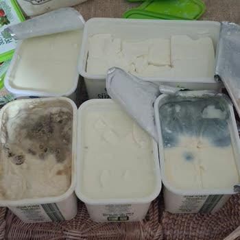 Bozuk Peynirler Ve İlgisiz Mağaza Çalışanları