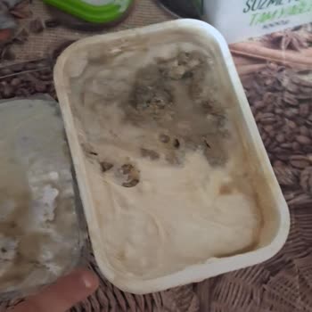 Bozuk Peynirler Ve İlgisiz Mağaza Çalışanları