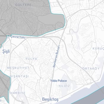 BinBin Scooter Kullanımında Yaşanan Sıkıntılar