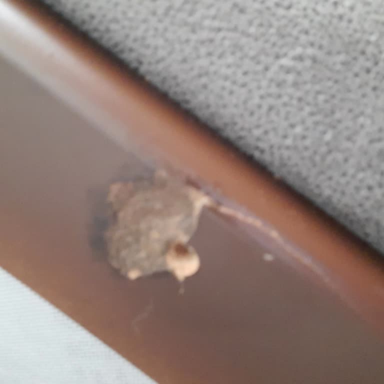 Alfemo'dan Aldığımız Mobilyaların Teslimat Sorunları!