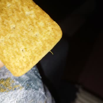 Bisküvide Beklenmedik Bulgu