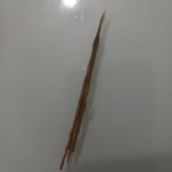 Köftede Odun Parçası Şoku