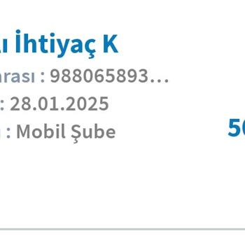 Onaylanan Krediyi Kullanamama Sorunu